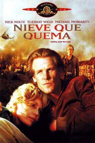 Guerrieri dell'inferno (1978) streaming