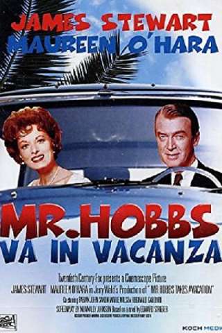 Mr. Hobbs va in vacanza (1962) streaming