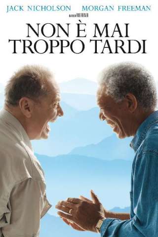 Non è mai troppo tardi (2007) streaming