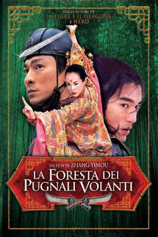 La foresta dei pugnali volanti (2004) streaming