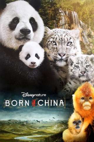 Born in China (2017) streaming