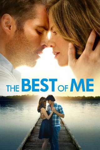 Il meglio di me (2014) streaming