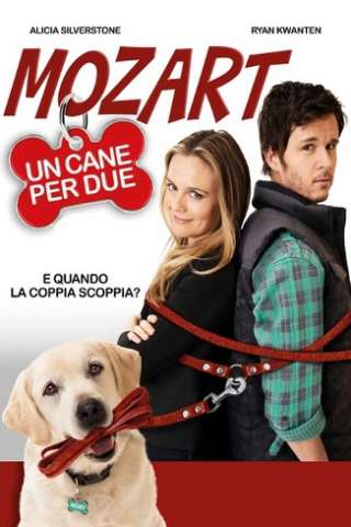 Mozart, un cane per due (2016) streaming