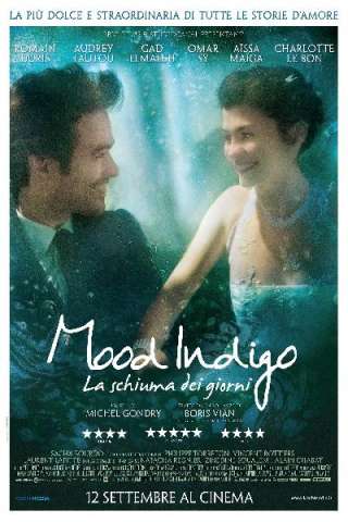 Mood Indigo - La schiuma dei giorni (2013) streaming