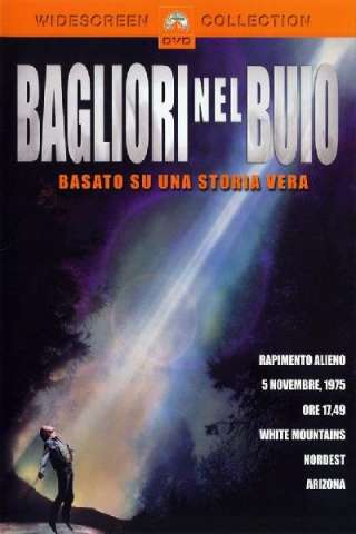 Bagliori nel buio (1993) streaming
