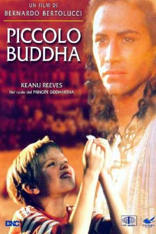 Piccolo Buddha (1993) streaming