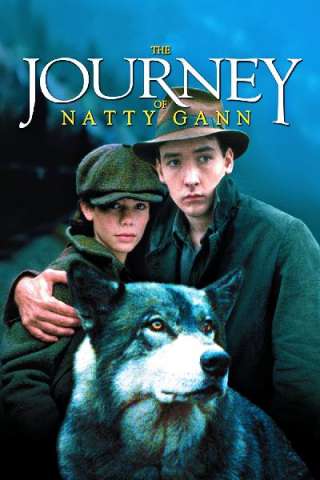 Il viaggio di Natty Gann (1985) streaming