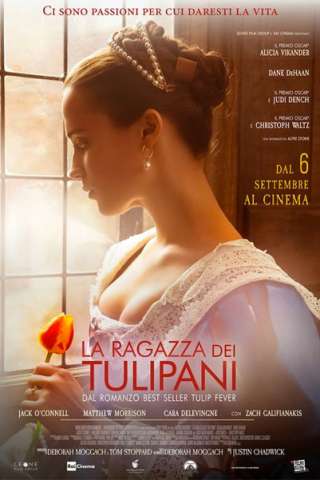 La ragazza dei tulipani (2017) streaming