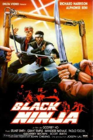 Ninja Silent Assassin (1987) streaming