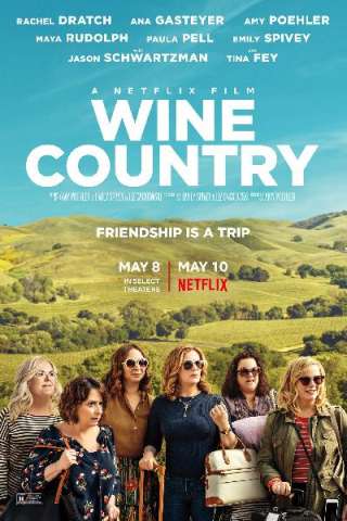 Wine Country (2019) streaming