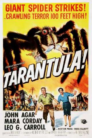 Tarantola (1955) streaming
