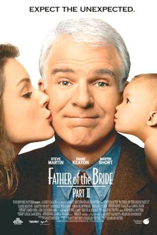 Il padre della sposa 2 (1995) streaming