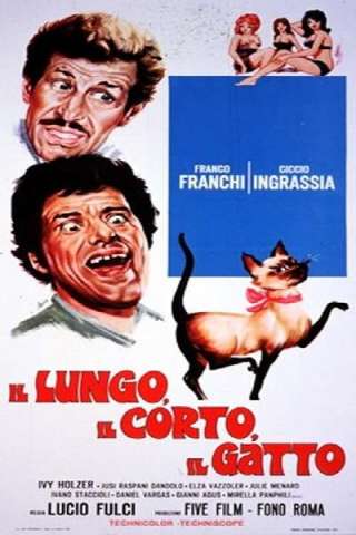 Il lungo, il corto, il gatto (1967) streaming