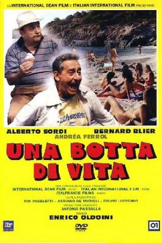 Una botta di vita (1988) streaming