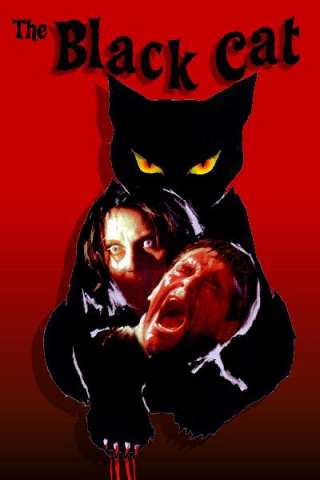 Gatto nero (1981) streaming