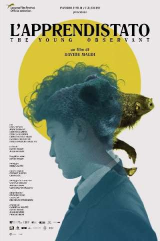 L'apprendistato (2019) streaming