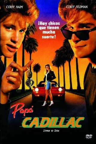 Licenza di guida (1988) streaming