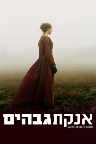 Cime tempestose (2011) streaming