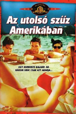 L'ultima vergine americana (1982) streaming