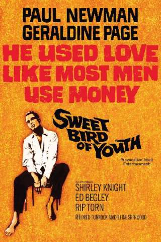 La dolce ala della giovinezza (1962) streaming