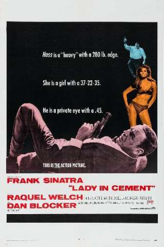 La signora nel cemento (1968) streaming