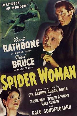 Sherlock Holmes e la donna ragno (1943) streaming