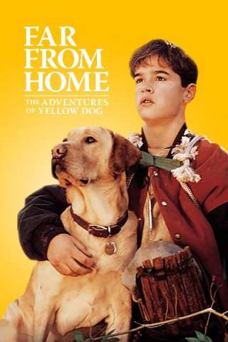 Lontano da casa (1995) streaming