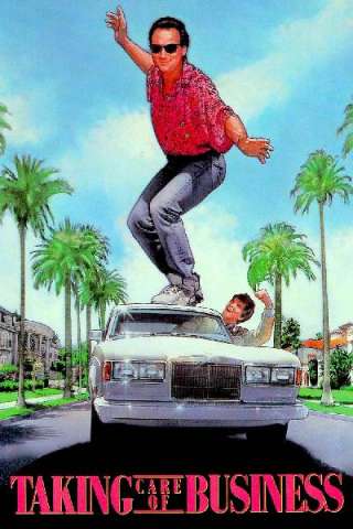 Un'agenda che vale un tesoro (1990) streaming
