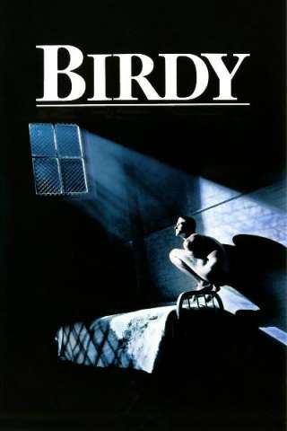 Birdy - Le ali della libertà (1984) streaming