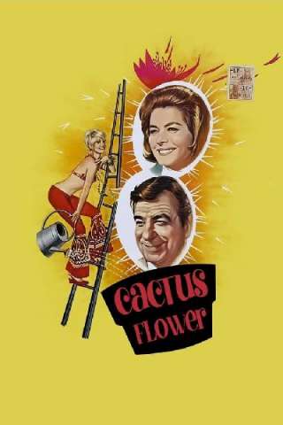 Fiore di cactus (1969) streaming