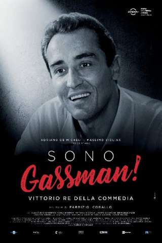 Sono Gassman! Vittorio re della commedia (2018) streaming