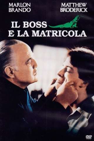 Il boss e la matricola (1990) streaming