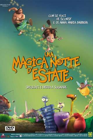 Una magica notte d'estate (2005) streaming