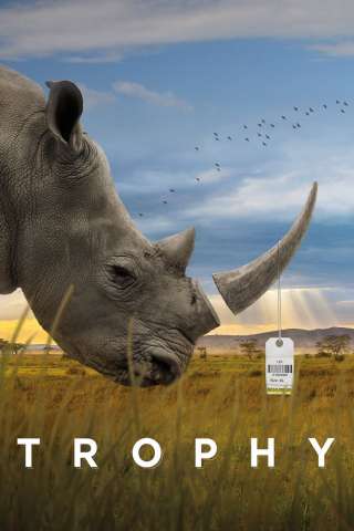 Trophy (2017) streaming