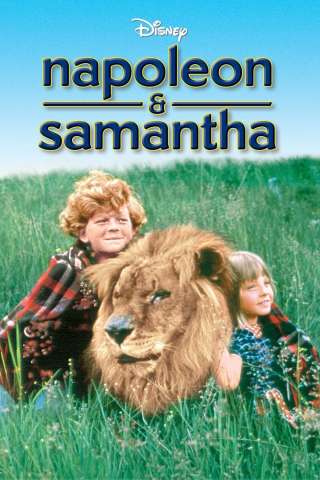 Due ragazzi e... un leone (1972) streaming