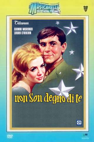 Non son degno di te (1965) streaming