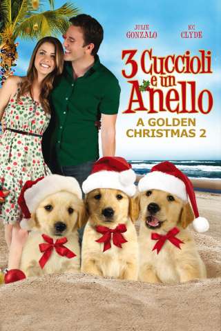 Tre cuccioli e un anello (2011) streaming