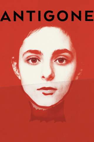 Antigone (2019) streaming
