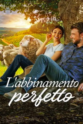 L'abbinamento perfetto (2022) streaming