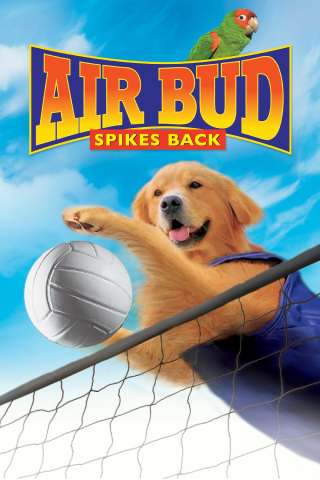 Air Bud 5 - Un amico dal tocco magico (2003) streaming