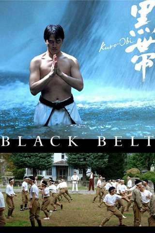 Black Belt (2007) streaming