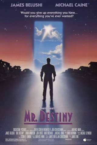 Mr. Destiny (1990) streaming