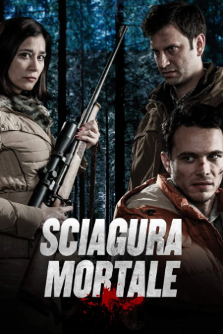 Sciagura mortale (2015) streaming