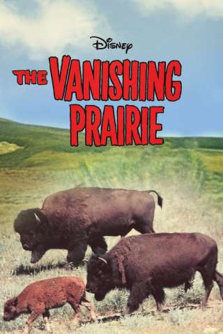 La grande prateria (1954) streaming