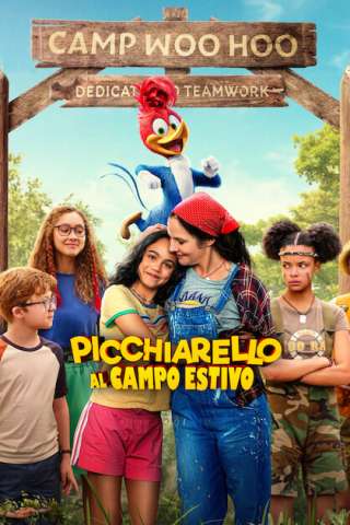 Picchiarello al campo estivo (2024) streaming