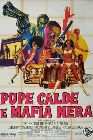 Pupe calde e mafia nera (1970) streaming
