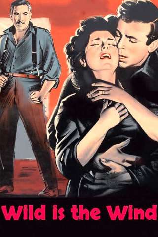 Selvaggio è il vento (1957) streaming