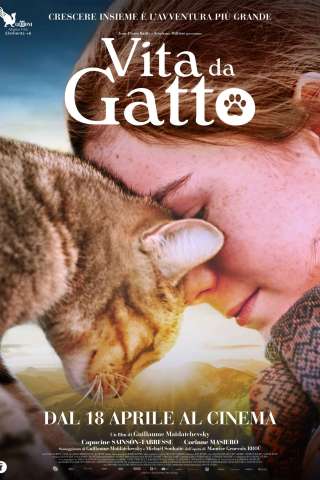 Vita da gatto (2023) streaming