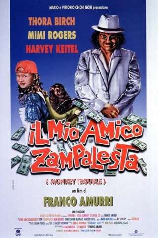 Il mio amico zampalesta (1994) streaming