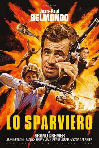 Lo sparviero (1976) streaming